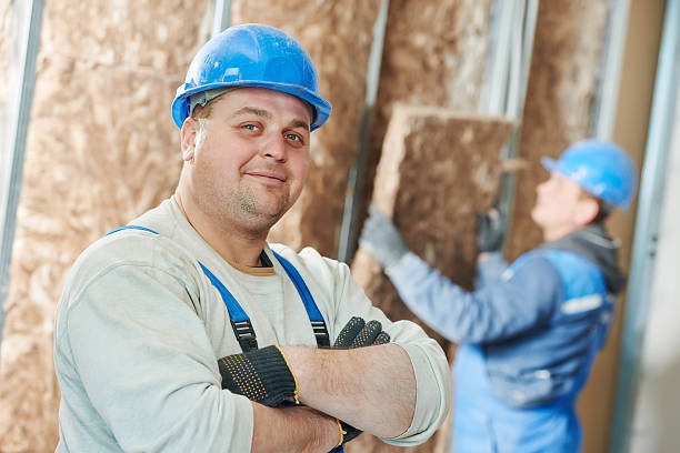 Best Specialized Insulation Services in Olathe, KS