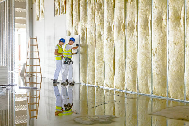 Types of Insulation We Offer in Olathe, KS